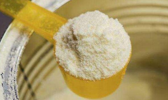 dairy powder