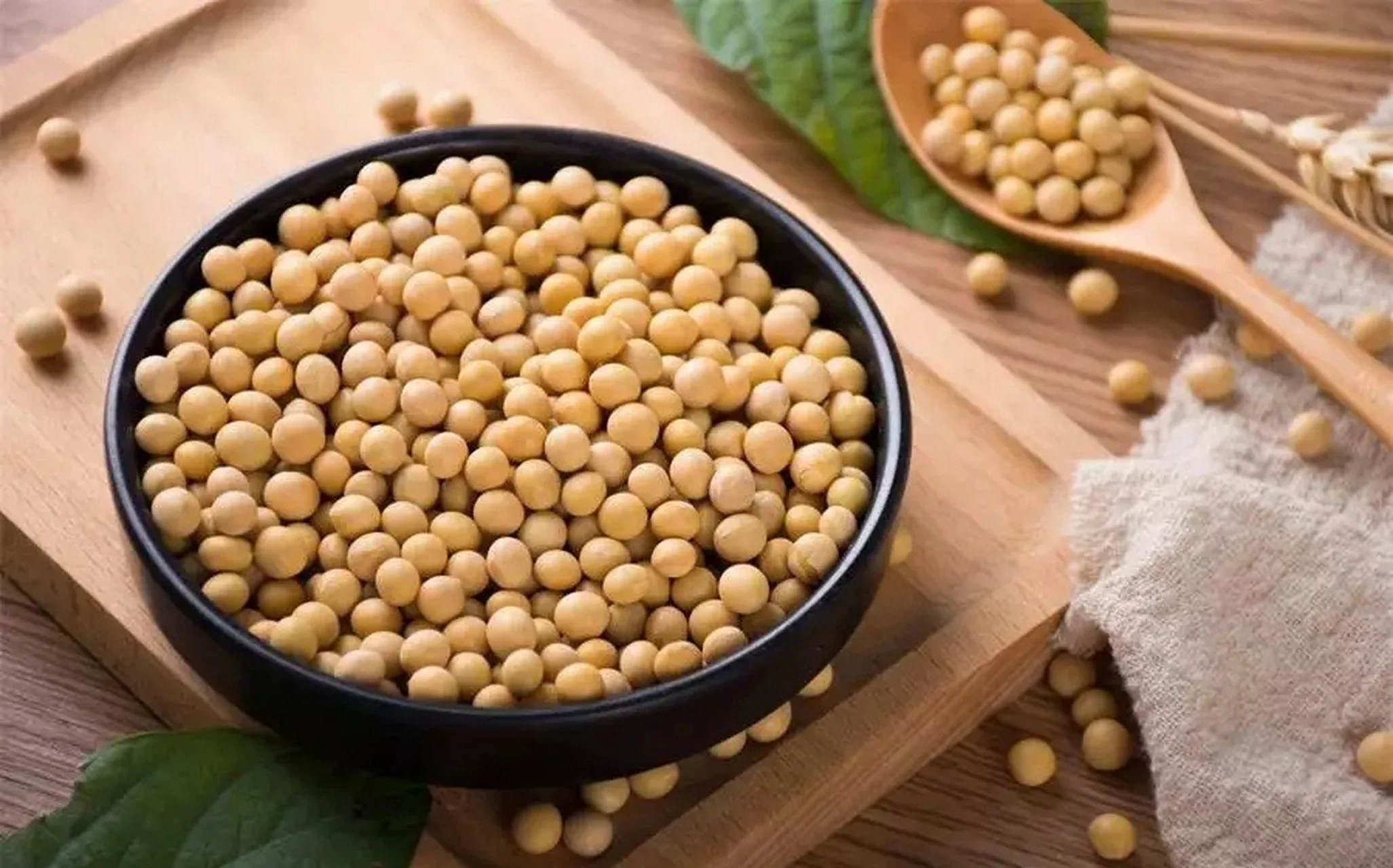 soybean