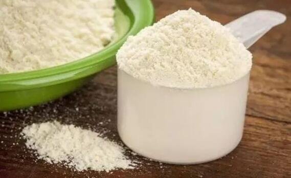 milk powder