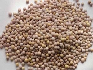 Catalytic Agent Screening Machine
