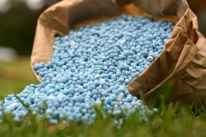 Chemical Fertilizer