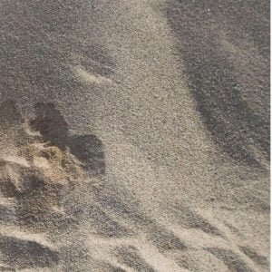 Precoated Sand