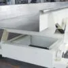 Two-Mass Resonance Balanced Vibratory Conveyor
